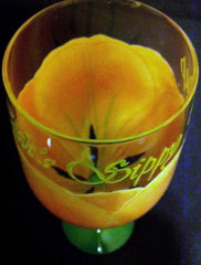 GRAMMY'S SIPPY CUP