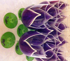 PURPLE & LIME GREEN WEDDING FLOWER WINE GLASS