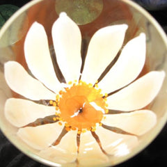 DAISY WINE GLASS