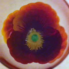 PANSY WINE GLASS Set of 6